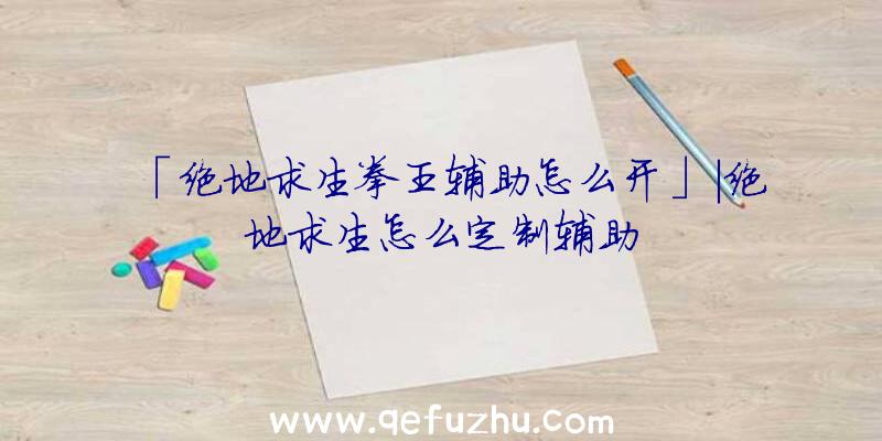 「绝地求生拳王辅助怎么开」|绝地求生怎么定制辅助